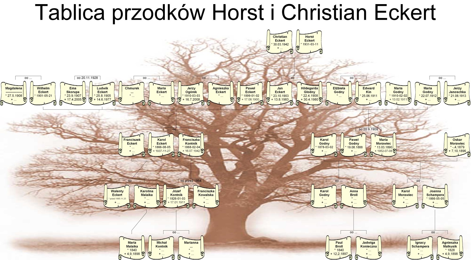 darmowy program tworzenie drzewa genealogicznego